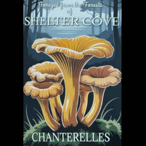 Chanterelle in Moonlight